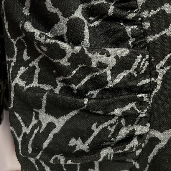 Adrianna Papell Empire Waist Dress - Picture 4 of 9